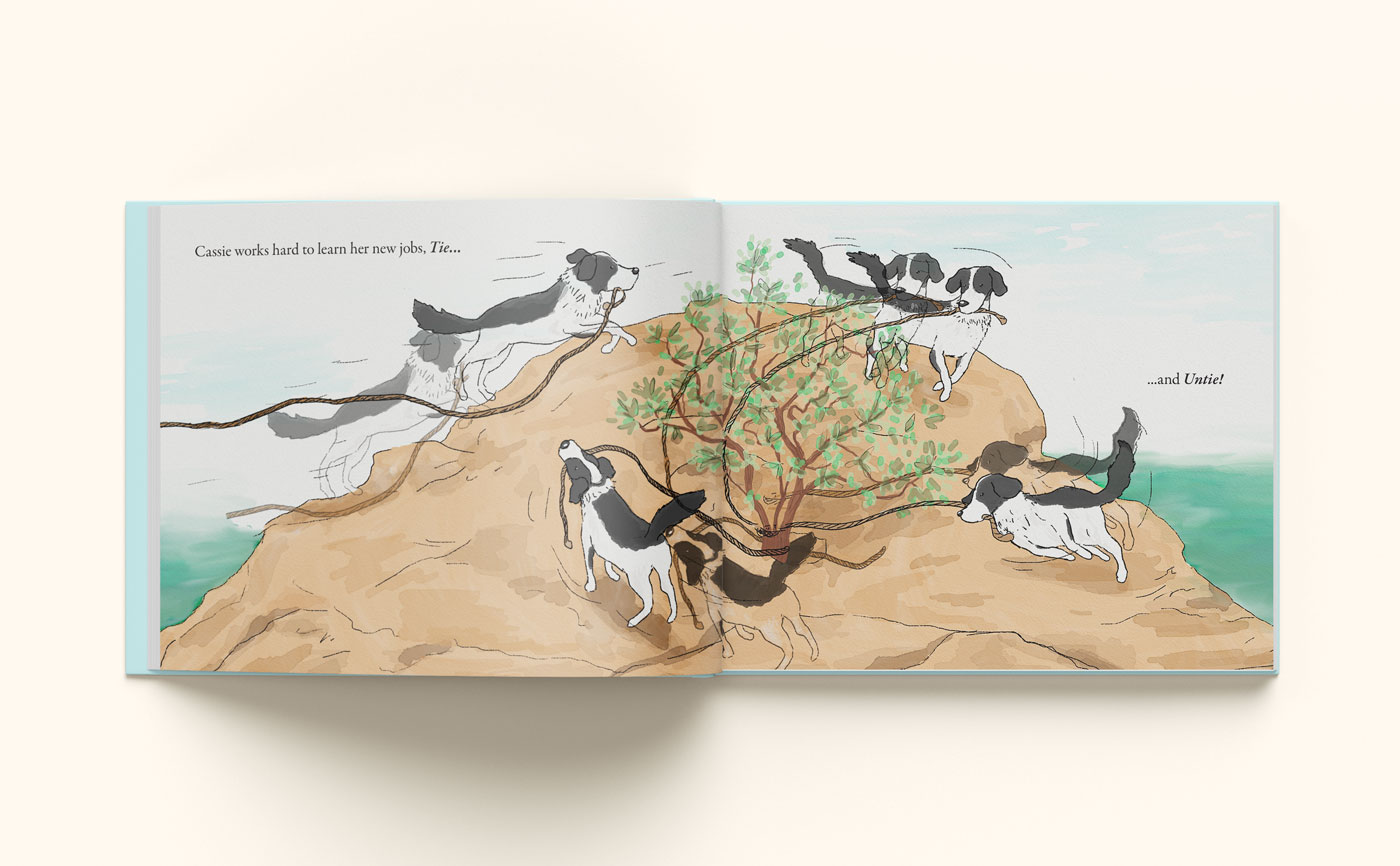 A spread from The Paddleboard Dog